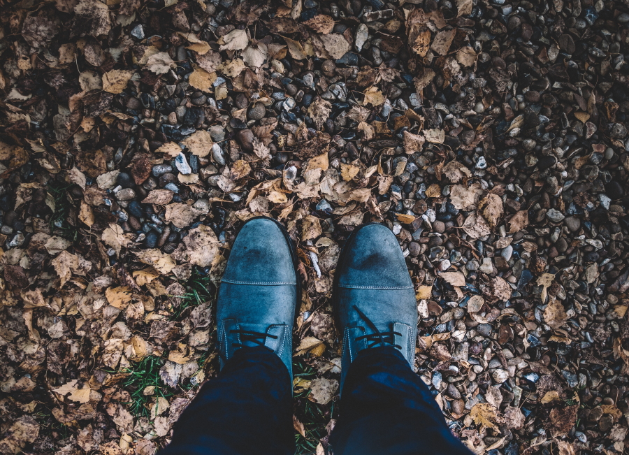 Picture of shoes on a forest background