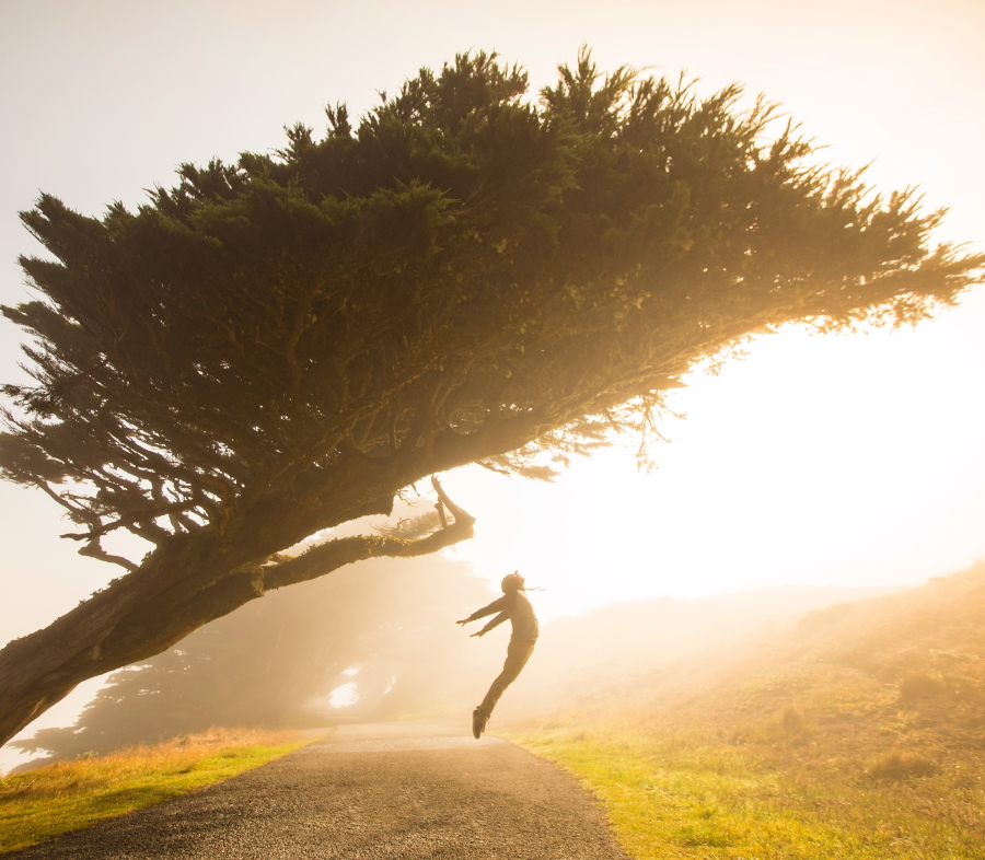 Hero image: Person jumping in front of a tree